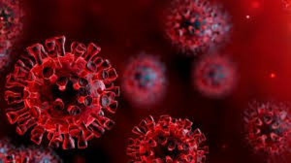 A TEST-VÉR Egészségpénztár intézkedései az új koronavírus miatt.